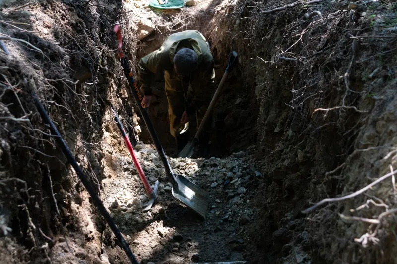 Silent Invaders Below Ground: How Tree Roots Compromise Canadian Sewer Lines and What Homeowners Can Do